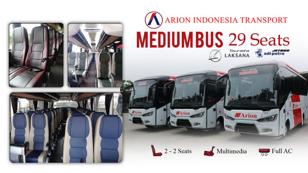 arionmediumbus29seat