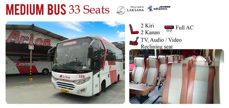 arionmediumbus33seat